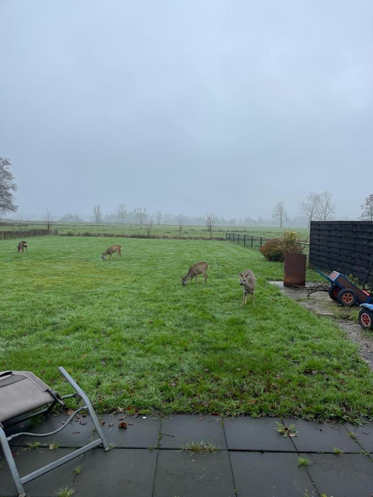 Blokhut Klein Meerzicht Haren  Exterior foto